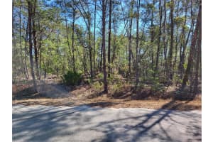 TBD SE FISHER RUN TERRACE #LOT 15, OCALA, FL 34472 - MLS#MFROM718266