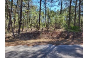 TBD SE FISHER RUN TERRACE, OCALA, FL 34472 - MLS#MFROM718268