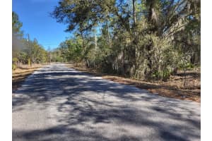 TBD SE FISHER RUN TERRACE, OCALA, FL 34472 - MLS#MFROM718268