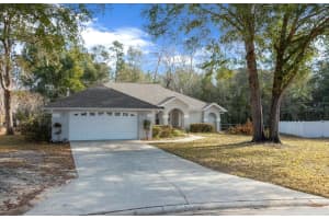 6607 11TH LOOP, OCALA, FL 34472 - MLS#MFROM718304