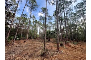 PANTERA LN, NAPLES, FL 34120 - MLS#MFROM718343