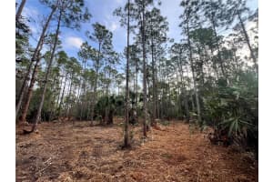 PANTERA LN, NAPLES, FL 34120 - MLS#MFROM718343