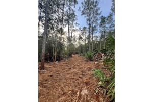 PANTERA LN, NAPLES, FL 34120 - MLS#MFROM718343