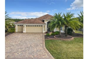 4239 DESKIN LANE, THE VILLAGES, FL 32163 - MLS#MFROM718369