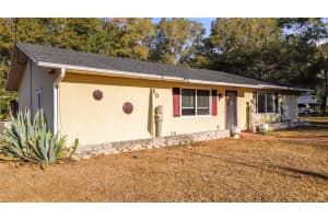 50 SPRING LOOP, OCALA, FL 34472 - MLS#MFROM718393
