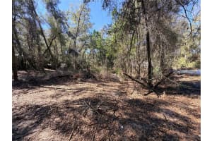 3910 SCOTTY STREET, INVERNESS, FL 34453 - MLS#MFROM718408