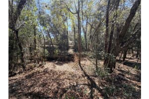 3910 SCOTTY STREET, INVERNESS, FL 34453 - MLS#MFROM718408