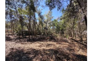 3910 SCOTTY STREET, INVERNESS, FL 34453 - MLS#MFROM718408