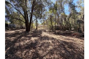 3910 SCOTTY STREET, INVERNESS, FL 34453 - MLS#MFROM718408