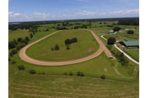 12020 N US HIGHWAY 441, OCALA, FL 34475 - MLS#MFROM718430