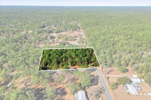 8780 DEERSTALKER TERRACE, INVERNESS, FL 34452 - MLS#MFROM718448