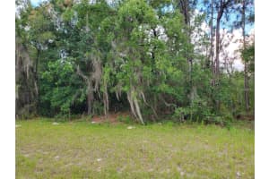 8650 138 LANE, OCALA, FL 34473 - MLS#MFROM718472