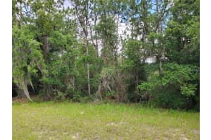 8650 138 LANE, OCALA, FL 34473 - MLS#MFROM718472