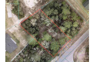 SW 55 AVENUE RD, OCALA, FL 34473 - MLS#MFROM718482