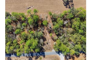 24456 TIGER LAKE BOULEVARD, DUNNELLON, FL 34431 - MLS#MFROM718516