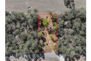 24456 TIGER LAKE BOULEVARD, DUNNELLON, FL 34431 - MLS#MFROM718516