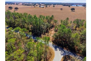 24456 TIGER LAKE BOULEVARD, DUNNELLON, FL 34431 - MLS#MFROM718516