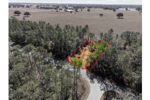 24456 TIGER LAKE BOULEVARD, DUNNELLON, FL 34431 - MLS#MFROM718516