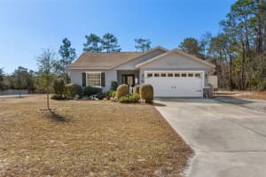 668 W Hummingbird Dr, CITRUS SPRINGS