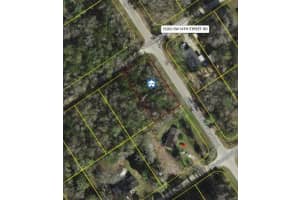13320 14TH STREET ROAD, OCALA, FL 34481 - MLS#MFROM718560