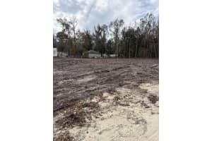 13320 14TH STREET ROAD, OCALA, FL 34481 - MLS#MFROM718560