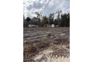 13320 14TH STREET ROAD, OCALA, FL 34481 - MLS#MFROM718560