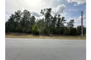 0 110TH STREET, OCALA, FL 34476 - MLS#MFROM718571