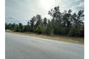 0 110TH STREET, OCALA, FL 34476 - MLS#MFROM718571