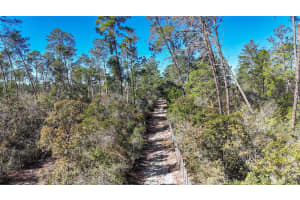 6646 PERCALE TERRACE, DUNNELLON, FL 34433 - MLS#MFROM718606