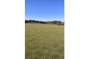 TBD 6 LANE, DUNNELLON, FL 34431 - MLS#MFROM718618