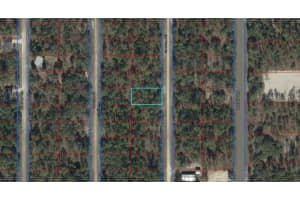 Lot 10 136TH AVENUE, DUNNELLON, FL 34431 - MLS#MFROM718621