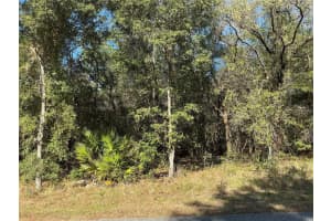 2039 NEWHAVEN STREET, INVERNESS, FL 34453 Sold 03/20/26