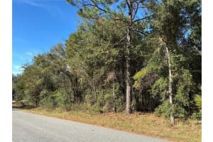 2039 NEWHAVEN STREET, INVERNESS, FL 34453 Sold 03/20/26