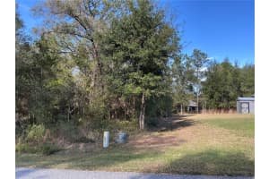 2039 NEWHAVEN STREET, INVERNESS, FL 34453 Sold 03/20/26