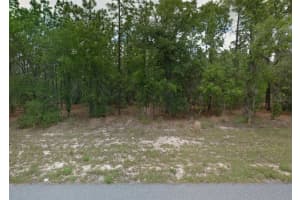 1449 OMAHA PLACE, CITRUS SPRINGS, FL 34434 - MLS#MFROM718643