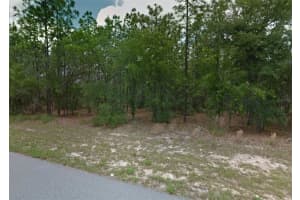 1449 OMAHA PLACE, CITRUS SPRINGS, FL 34434 - MLS#MFROM718643