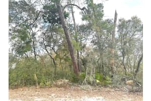 0 MARION OAKS GOLF ROAD, OCALA, FL 34473 - MLS#MFROM718654