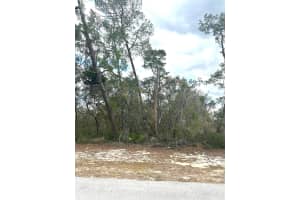 0 MARION OAKS GOLF ROAD, OCALA, FL 34473 - MLS#MFROM718654