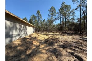 3331 SMALLWOOD ROAD, DUNNELLON, FL 34431 - MLS#MFROM718710