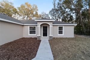 14317 27TH COURT, SUMMERFIELD, FL 34491 - MLS#MFROM718739