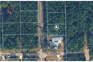 10049 BISCAYNE DRIVE, CITRUS SPRINGS, FL 34434 - MLS#MFROM718789