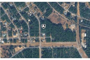 10061 BISCAYNE DRIVE, CITRUS SPRINGS, FL 34434 - MLS#MFROM718790