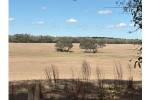 SW 69TH PL, DUNNELLON, FL 34431 - MLS#MFROM718799