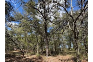 SW 69TH PL, DUNNELLON, FL 34431 - MLS#MFROM718799