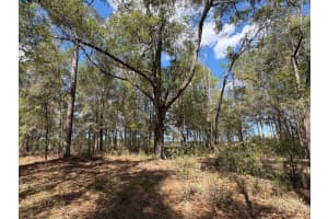 SW 69TH PL, DUNNELLON, FL 34431 - MLS#MFROM718803