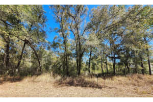 8585 ALAMEDA DRIVE, CITRUS SPRINGS, FL 34434 Sold 03/06/26