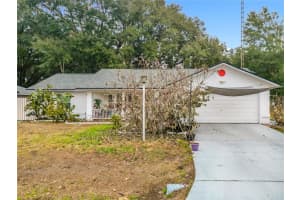 76 Teak Loop, OCALA