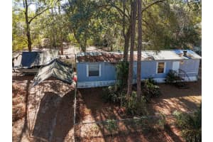 20434 143RD PLACE, SALT SPRINGS, FL 32134 - MLS#MFROM718882