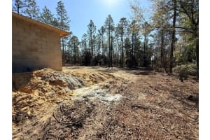 24352 HEMLOCK AVENUE, DUNNELLON, FL 34431 - MLS#MFROM718892
