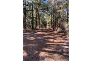 16303 75TH STREET, ARCHER, FL 32618 - MLS#MFROM718906